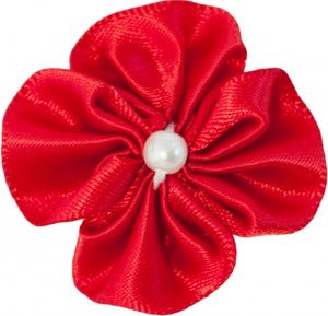 Hovedbilde H&aring;rspenne r&oslash;d 316, Den lille ...